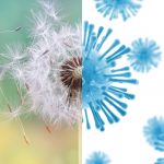 Allergia Primaverile: cosa rappresenta in olistica e rimedi.