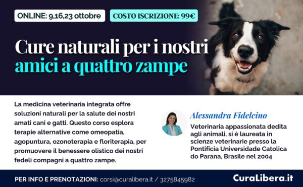 Cure naturali per i nostri amici a quattro zampe